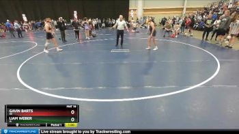 136 lbs Cons. Round 1 - Gavin Barts, WI vs Liam Weber, IA