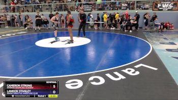 165 lbs Semifinal - Cameron Strong, Interior Grappling Academy vs Landon Stanley, Nikiski Freestyle Wrestling Club