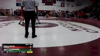 285 lbs Cons. Round 2 - Brett Schoenherr, UW - Platteville vs Brock Meyer, Wartburg