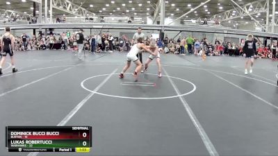 100 lbs Semis (4 Team) - Dominick Bucci Bucci, Buxton vs Lukas Robertucci, Warhawks