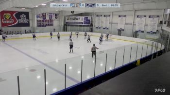 Replay: Home - 2024 Hitmen vs WBS Knights | Mar 1 @ 7 PM