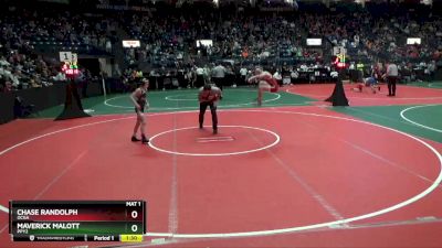 80 lbs Quarterfinal - Maverick Malott, PPY2 vs Chase Randolph, OCGA