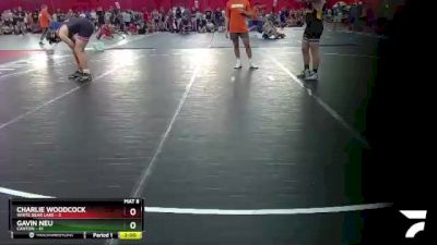 175 lbs Round 1 (4 Team) - Charlie Woodcock, White Bear Lake vs Gavin Neu, Canton