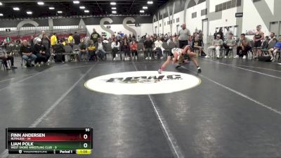 95 lbs Quarterfinals (8 Team) - Liam Polk, West Shore Wrestling Club vs Finn Andersen, Ruthless