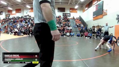 138 lbs Cons. Semi - Marshall Laishley, Cambridge vs Marcus Fricke, Washington (Massillon)