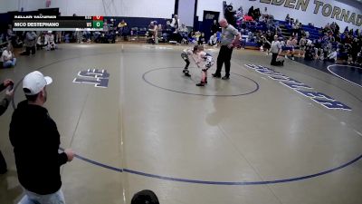 54-58 lbs Round 3 - Nico DeStephano, WPA Spartans vs Kellan Vaughan, Upper St. Clair