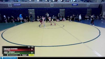 100 lbs Round 1 - Deagan Barnes, Idaho Gold vs Brey Stahle, Timberline Youth Wrestling