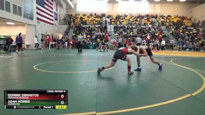 126 lbs Cons. Round 5 - Dominic Demastus, SPRINGFIELD(Akron) vs Adam Morris, BARBERTON