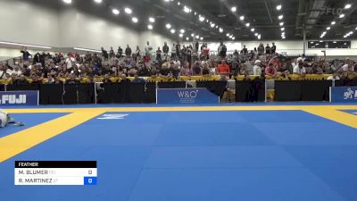 MARVIN BLUMER vs ROBERTO MARTINEZ 2024 World Masters IBJJF Jiu-Jitsu Championship