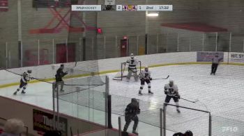 Replay: Home - 2024 Menace vs Panthers | Jan 28 @ 7 PM