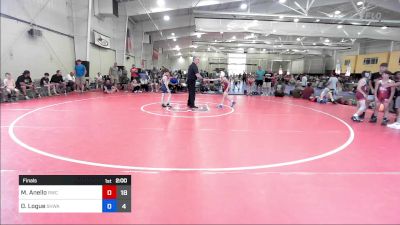68 lbs Final - Michael Anello, Ruthless WC MS vs Dylan Logue, South Hills Wrestling Academy