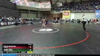 3A 182 lbs Cons. Round 3 - Gabe Vasa, Auburn Riverside vs Solid Heaston, Capital