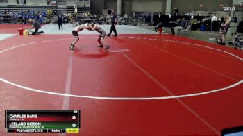 88 lbs Placement (4 Team) - Charles Davis, Staples vs Leeland Gibson, Marshall/Lakeview/RTR