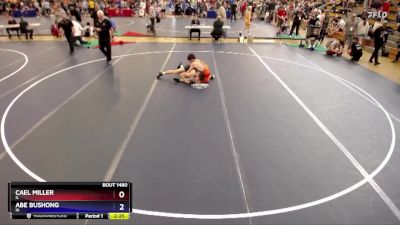 165 lbs Cons. Round 6 - Cael Miller, IL vs Abe Bushong, IA