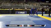Aaron Robert Geiger vs Andrew Warren Gorski 2025 Pan Jiu Jitsu IBJJF Championship