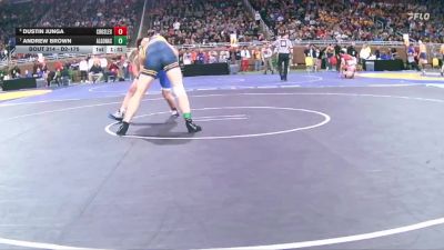 D2-175 lbs Quarterfinal - Dustin Junga, Croswell-Lexington vs Andrew Brown, Algonac