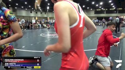 100 lbs Round 4 (6 Team) - Hayden Hauck, Lady Gator Dawgs vs Breanna Higgins, BHWC/ Florida Supreme