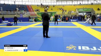 ADRIANO ROPERO vs ANDRE SIMOES GUERRA 2024 Brasileiro Jiu-Jitsu IBJJF