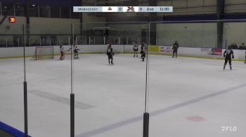 Replay: Home - 2024 NJ Titans U14 vs York Simcoe U14 | Nov 30 @ 9 PM