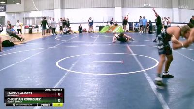 135 lbs Cons. Round 2 - Christian Rodriguez, North Branch vs Mazzy Lambert, Midwest RTC