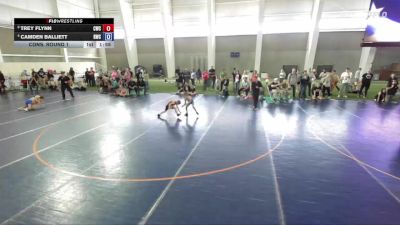 56 lbs Cons. Round 1 - Trey Flynn, Champions Wrestling Club vs Camden Balliett, Roy Wrestling Club