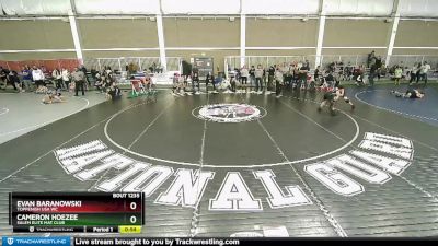 92 lbs Cons. Round 2 - Cameron Hoezee, Salem Elite Mat Club vs Evan Baranowski, Toppenish USA WC