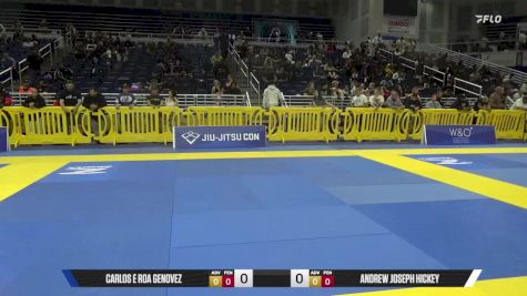 Andrew Joseph Hickey vs Carlos E Roa Genovez 2025 Pan IBJJF Jiu-Jitsu No-Gi Championship
