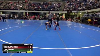 45 lbs Champ. Round 1 - Mason Brockway, Summit Wrestling Academy vs Liam Gilbert, DC Elite