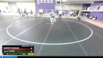 220 lbs Cons. Round 2 - Cole Carter, AL vs Garrett Waefler, WI