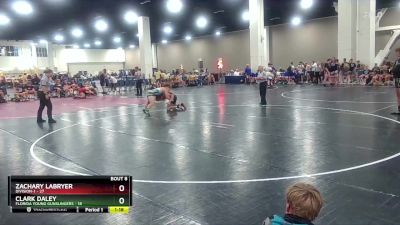 175 lbs Round 3 (6 Team) - Clark Daley, Florida Young Gunslingers vs Zachary Labryer, Division-1