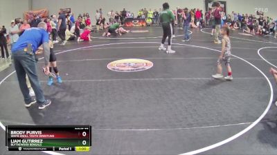 47 lbs Cons. Round 3 - Liam Gutirrez, Blythewood Bengals vs Brody Purvis, White Knoll Youth Wrestling
