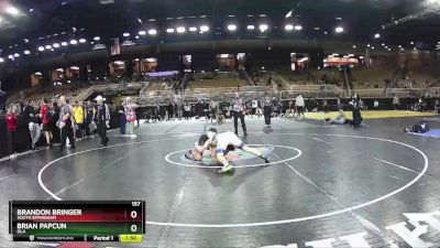 157 lbs Quarterfinal - Brandon Bringer, South Effingham vs Brian Papcun, Ola