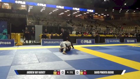 David Pimenta Bueno vs Andrew Ray Harvey 2025 Pan Jiu Jitsu IBJJF Championship