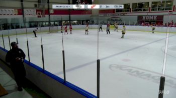 Replay: Home - 2024 Nashville U16 vs TO Red Wings U16 | Nov 28 @ 3 PM