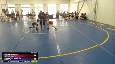 71 lbs Placement Matches (16 Team) - Logan Murphy, New York Gold vs Kingston Nguyen, Virginia