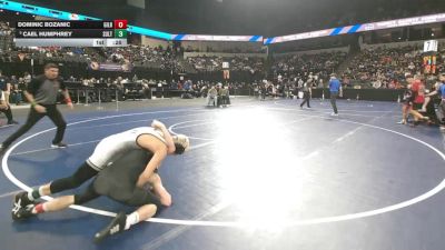 132 lbs Consi Of 4 - Dominic Bozanic, Gilroy (CC) vs Cael Humphrey, Sultana (SS)
