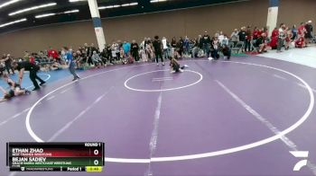 67 lbs Semifinal - Bejan Sadiev, Gracie Barra Westchase Wrestling Club vs Ethan Zhao, Best Trained Wrestling