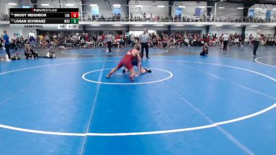 Elite 133 lbs Semifinal - Logan Schwanz, Minnesota State vs Brody Neighbor, Coe