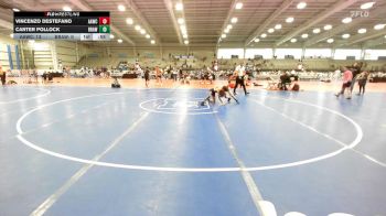 65 lbs Round Of 32 - Vincenzo Destefano, All-American Wrestling Club Red vs Carter Pollock, Brawler Elite