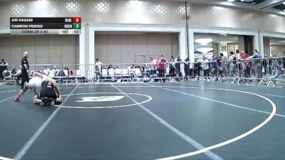 175 lbs Consi Of 8 #2 - Ari Hasani, World Team Training Center vs Camron Pedigo, Mountain Man