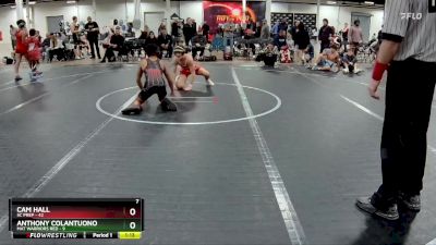 120 lbs Finals (2 Team) - Anthony Colantuono, Mat Warriors Red vs Cam Hall, SC Prep