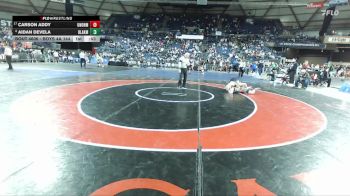 Boys 4A 144 lbs Cons. Round 3 - Aidan Devela, Bonney Lake vs Carson Addy, Union