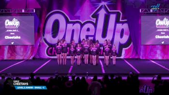 Fierce - Cheetahs [2025 L2 Junior - Small - C Day 3] 2025 One Up Grand Nationals