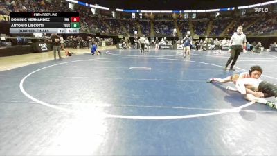 115 lbs Quarterfinal - Dominic Hernandez, Philadelphia vs Antonio Liscotti, Yough