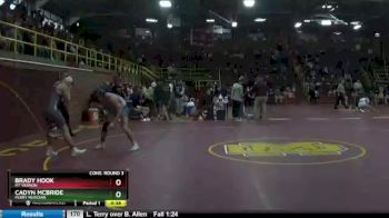 170 lbs Cons. Round 3 - Brady Hook, Mt Vernon vs Cadyn McBride, Perry Meridian
