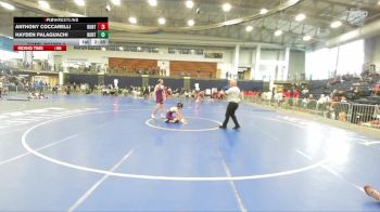 157 lbs Cons. Round 2 - Hayden Palaguachi, Hunter vs Anthony Coccarelli, Hunter