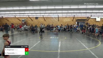 M 75 lbs Semifinal - Gus Engelman, Mountain Top vs Qwen Pascarella, Wellsboro