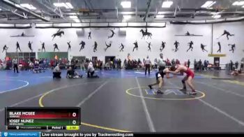 133 lbs Champ. Round 2 - Iosef Nunez, Heidelberg vs Blake McGee, Wabash