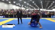 ASHUR DARMO vs CARLOS RODRIGUES 2024 World Masters IBJJF Jiu-Jitsu Championship