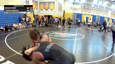 120 lbs Champ. Round 2 - David Cardullo, Palm Harbor University vs Lincoln Derby, YIC